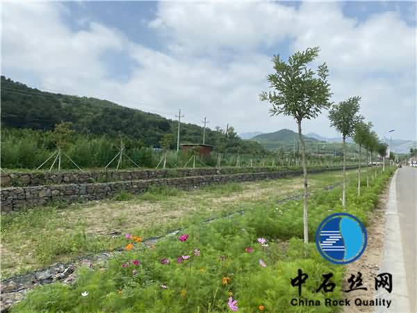 微信圖片_202007291443034.jpg 微信圖片_202007291443034.jpg